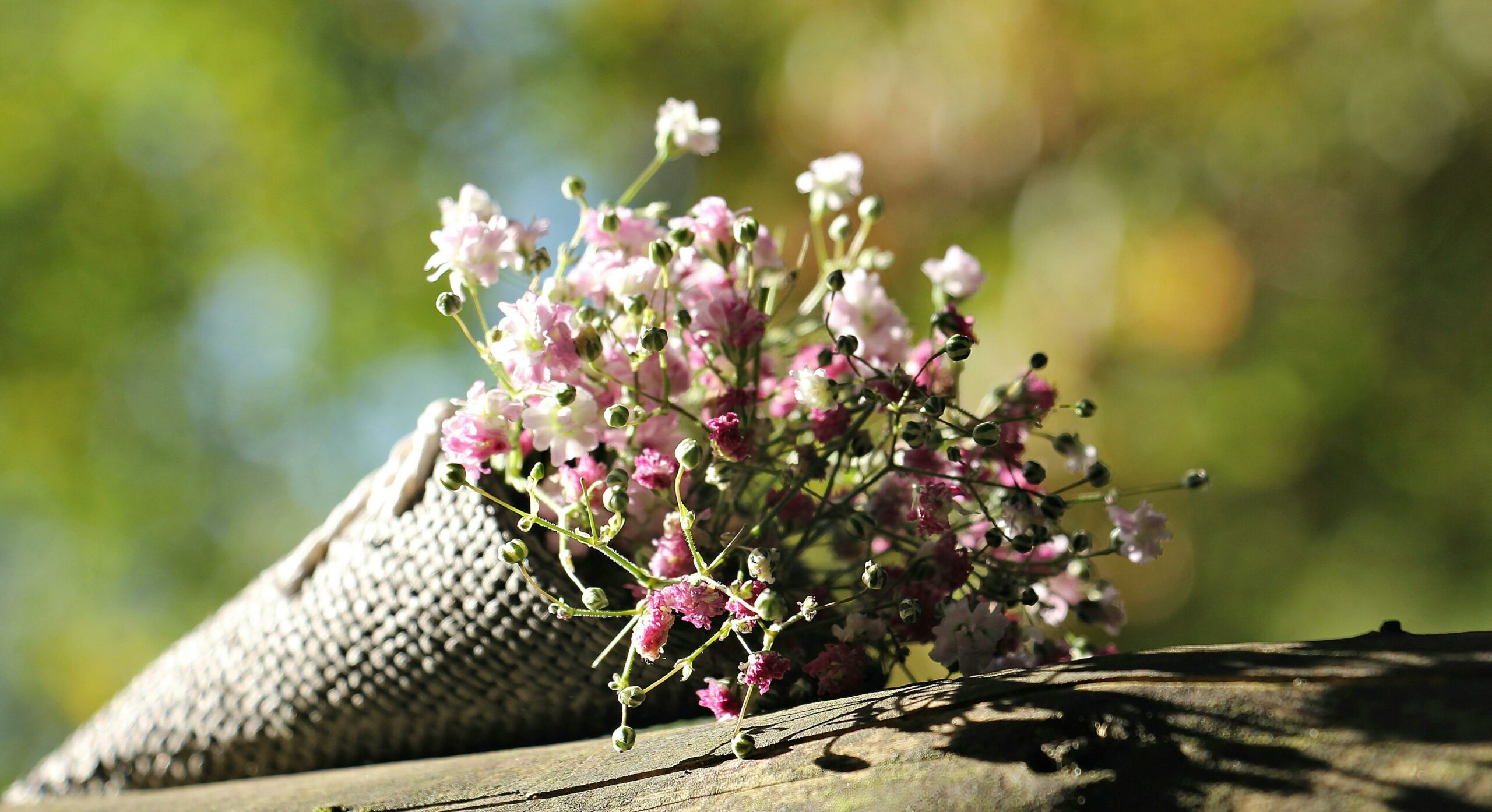 Beautiful bouquet of Gypsophila flowers in sunlight with blurred greenery background.